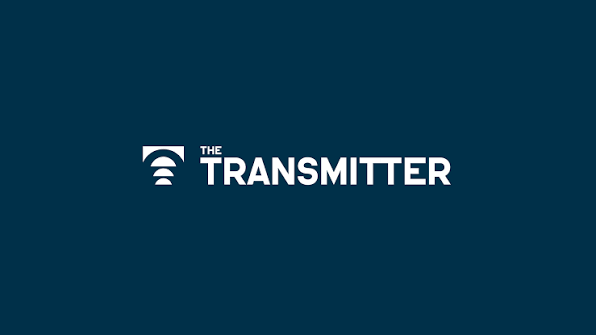 The Transmitter logo